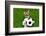 Funny Soccer Dog-Javier Brosch-Framed Photographic Print