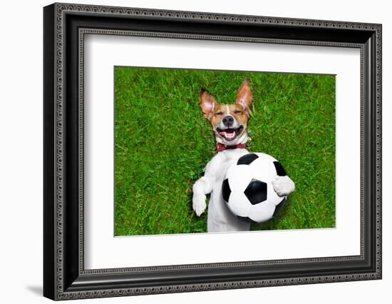 Funny Soccer Dog-Javier Brosch-Framed Photographic Print