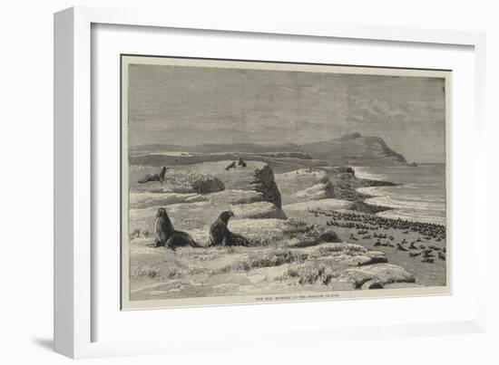 Fur Seal Rookery in the Pribylov Islands-null-Framed Giclee Print