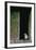 Fur Seal Standing in Doorway-Paul Souders-Framed Photographic Print