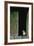 Fur Seal Standing in Doorway-Paul Souders-Framed Photographic Print