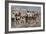 Fur Train from the North Arriving at a Canadian Trading Post, 1800s-null-Framed Giclee Print