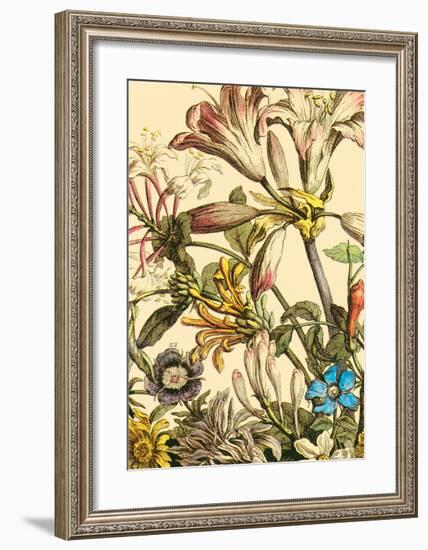 Furber Flowers III - Detail-Robert Furber-Framed Art Print