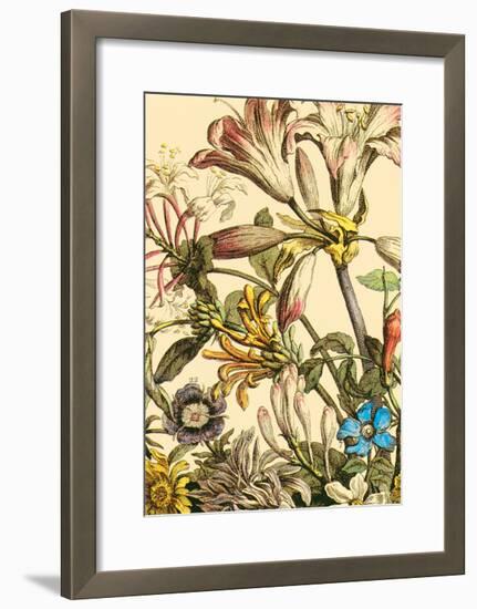 Furber Flowers III - Detail-Robert Furber-Framed Art Print