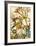 Furber Flowers III - Detail-Robert Furber-Framed Art Print