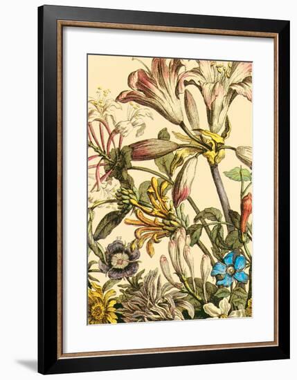 Furber Flowers III - Detail-Robert Furber-Framed Art Print
