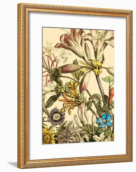 Furber Flowers III - Detail-Robert Furber-Framed Art Print