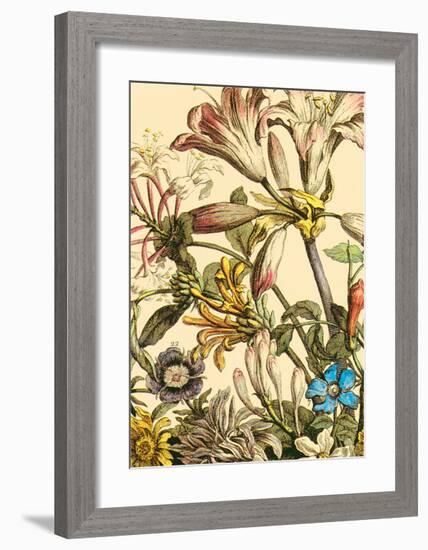 Furber Flowers III - Detail-Robert Furber-Framed Art Print