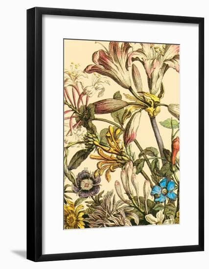 Furber Flowers III - Detail-Robert Furber-Framed Art Print