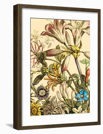 Furber Flowers III - Detail-Robert Furber-Framed Art Print