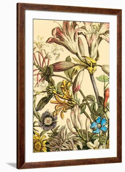 Furber Flowers III - Detail-Robert Furber-Framed Giclee Print