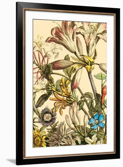 Furber Flowers III - Detail-Robert Furber-Framed Giclee Print