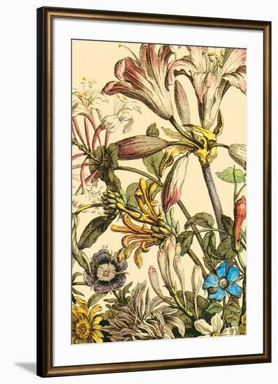 Furber Flowers III - Detail-Robert Furber-Framed Giclee Print