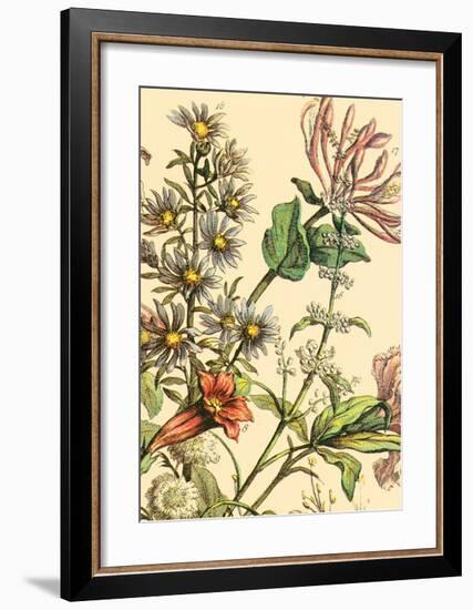 Furber Flowers IV - Detail-Robert Furber-Framed Art Print