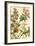 Furber Flowers IV - Detail-Robert Furber-Framed Art Print