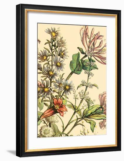 Furber Flowers IV - Detail-Robert Furber-Framed Art Print