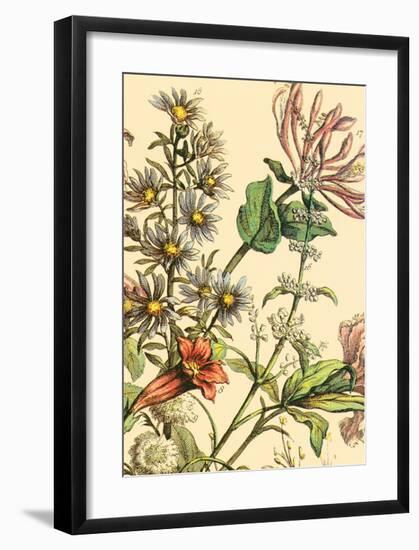 Furber Flowers IV - Detail-Robert Furber-Framed Art Print