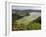 Furnas Lake, Sao Miguel Island, Azores, Portugal, Europe-De Mann Jean-Pierre-Framed Photographic Print