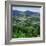 Furnas Valley, Sao Miguel, Azores, Portugal, Atlantic-David Lomax-Framed Photographic Print