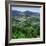 Furnas Valley, Sao Miguel, Azores, Portugal, Atlantic-David Lomax-Framed Photographic Print