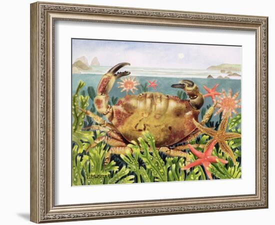 Furrowed Crab with Starfish Underwater, 1997-E.B. Watts-Framed Giclee Print