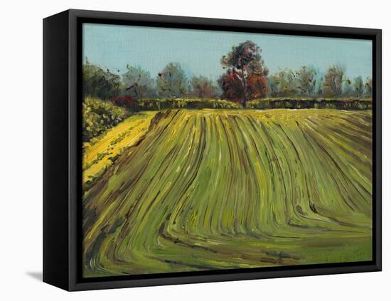 Furrows, 2008, (Oil on Canvas)-Helen White-Framed Premier Image Canvas