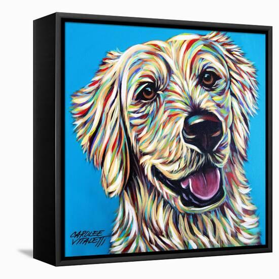 Furry Dog Friend I-Carolee Vitaletti-Framed Stretched Canvas