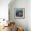 Furry Dog Friend II-Carolee Vitaletti-Framed Art Print displayed on a wall