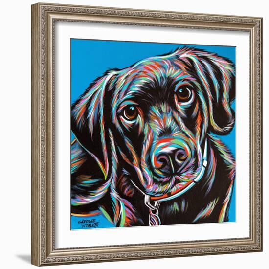 Furry Dog Friend II-Carolee Vitaletti-Framed Art Print