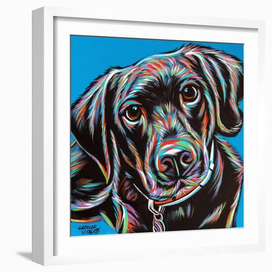 Furry Dog Friend II-Carolee Vitaletti-Framed Art Print