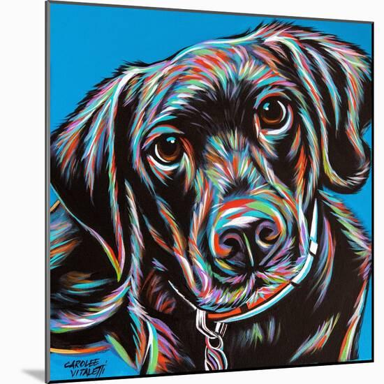 Furry Dog Friend II-Carolee Vitaletti-Mounted Art Print