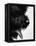 Furry Dog Panting-Henry Horenstein-Framed Premier Image Canvas