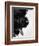 Furry Dog Panting-Henry Horenstein-Framed Photographic Print