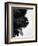 Furry Dog Panting-Henry Horenstein-Framed Photographic Print