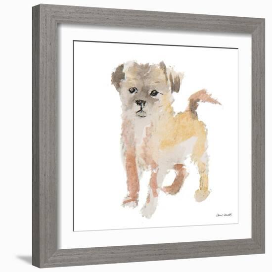 Furry Paws-Lanie Loreth-Framed Art Print