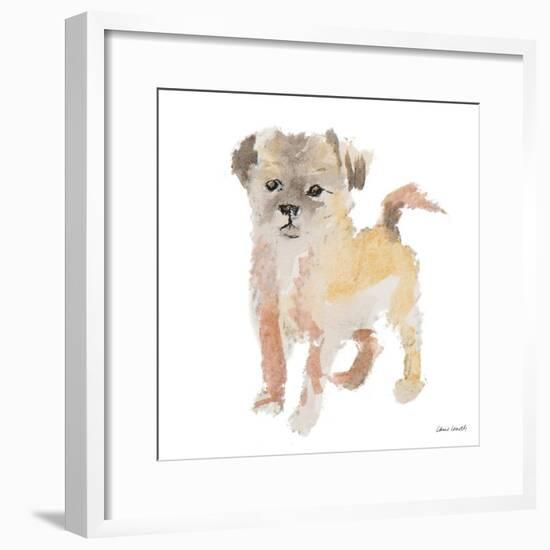 Furry Paws-Lanie Loreth-Framed Art Print