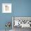 Furry Paws-Lanie Loreth-Framed Art Print displayed on a wall