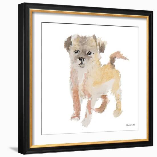 Furry Paws-Lanie Loreth-Framed Art Print