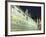 Furstenzug on the Walls of Dresden Castle, Dresden, Saxony, Germany, Europe-Hans Peter Merten-Framed Photographic Print