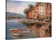Stretched Canvas Print
