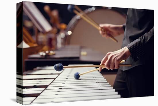 Stretched Canvas Print, , large