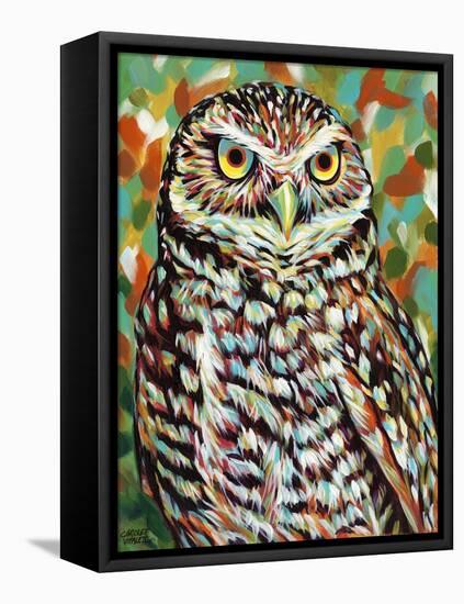 Fury Feather Friends II-Carolee Vitaletti-Framed Stretched Canvas