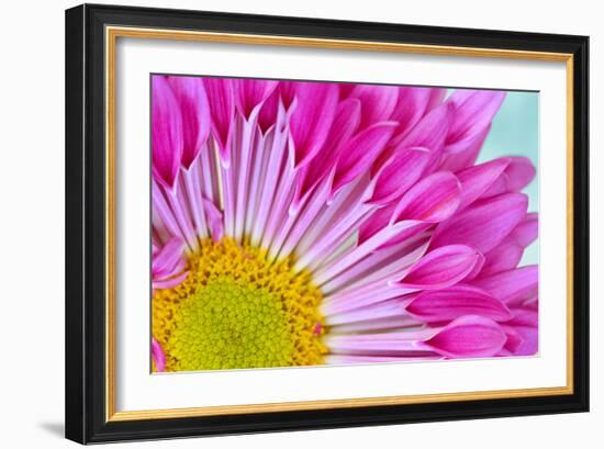 Fuschia Bloom-Gail Peck-Framed Photographic Print