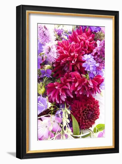 Fuschia Dalhia I-Maureen Love-Framed Photographic Print