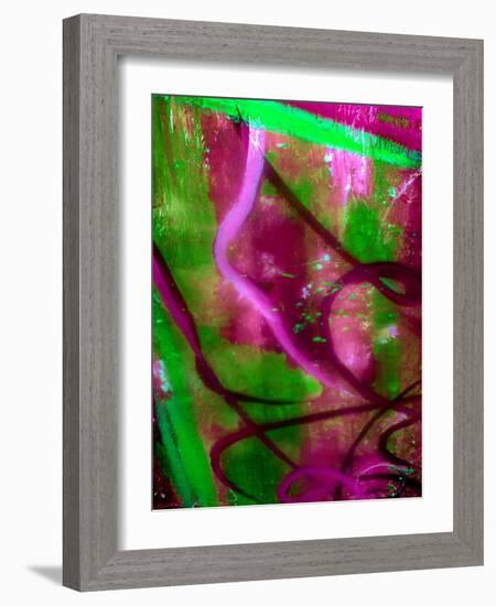 Fuschia Dreams I-Ruth Palmer 2-Framed Art Print