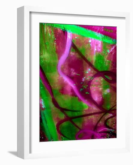 Fuschia Dreams I-Ruth Palmer 2-Framed Art Print