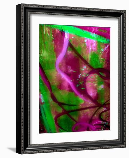 Fuschia Dreams I-Ruth Palmer 2-Framed Art Print