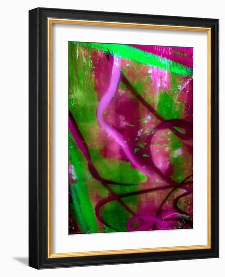 Fuschia Dreams I-Ruth Palmer 2-Framed Art Print