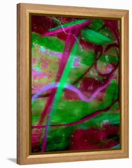 Fuschia Dreams II-Ruth Palmer 2-Framed Stretched Canvas