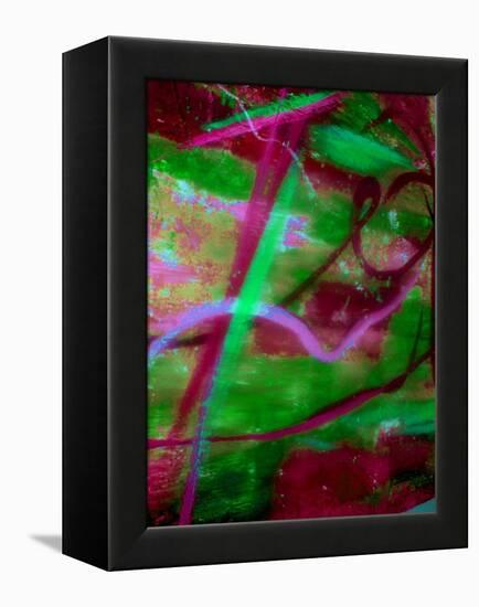 Fuschia Dreams II-Ruth Palmer 2-Framed Stretched Canvas